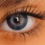 لنز سرمه‌ای مرکز طوسی آماندا امرالد گری