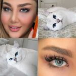 لنز آبی اقیانوسی دور مشکی آماندا دایموند بلو - تصویر 3