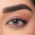 لنز طوسی بدون دور اپتی کالر روبی گری - تصویر 6